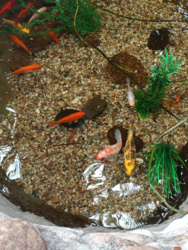 1abf03b7-528b-47fe-bb99-715a7ffd4445