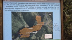 959923fc-4004-49cf-9b71-85dac0cae2ab