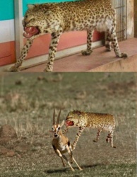 6339ecc4-c984-46e5-99b3-1a902b85278d