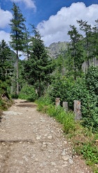 d7d8eca7-abdf-4a1c-9a70-2007c2435586