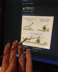 d6235a4f-d6e3-4af2-8638-6d7eb9f2d7c2