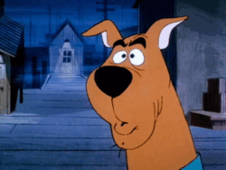 956f9e31-dd74-4f2b-9f96-44504dcf4b68