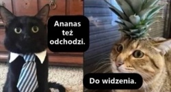 82932e1a-630d-44e1-9a58-bd4e13524a43