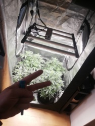 02ad9397-4ca3-4ab1-8133-a2b793d17e45