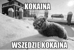 21c647a0-d1f5-4ea0-8a86-e68bb578d7b1