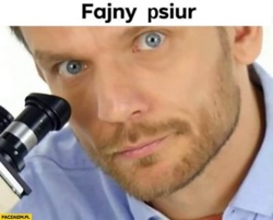 d66fe2f2-9c11-4553-9a36-ba3adbffca94