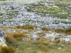 4f1645b2-9953-4a05-aea9-79159b74b102