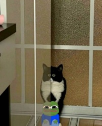 909a5f30-94be-4b5b-ba57-4826586393db