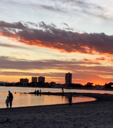 36af19f5-b29d-496e-989b-909b8eaffd76