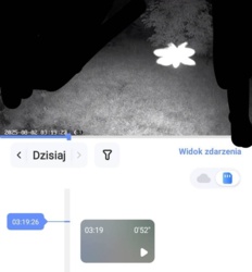 89c86d54-3d20-4f0d-a154-56a070bac909