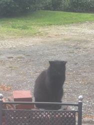 a1a77d78-3a92-4d82-9130-791812de9eb6