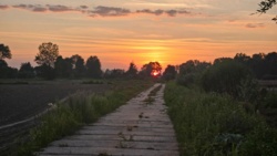 3816645d-9150-4df8-83fd-29b9d0264315