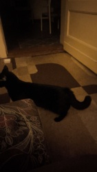 62b9e062-c2b2-4013-8843-f111a25c00cd