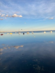 bb3e0f3b-ef58-41d4-a9e8-b3b971d3e6af