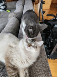 bd64a76c-9e18-4b31-b9be-cf3dafb7c6b0