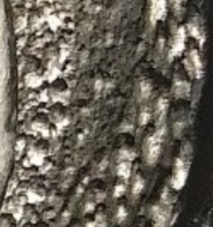 07643eea-d467-4942-863c-5089bb77a682