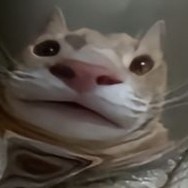 116fd1cc-77cf-455d-8228-57ccb1ac207d