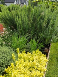 cc553fd4-8772-4f88-9832-bd60b58d6e72