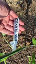 f6ed40d3-d620-4d17-b01d-9415f6f00aa7