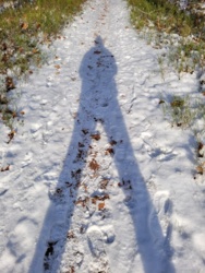 52a74831-001e-47d7-abf8-449ea27575cc