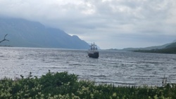 0df89229-89cb-46ef-9208-26e46a23e076