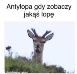 2c6a1d76-3c87-4754-b6ab-7f342105d9c6