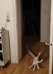 6a11787b-3d4f-4edd-b4fa-7d62432e3993