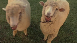 47fcc669-262e-40cd-b7e2-b74fce5e0d38