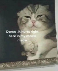 df3ecfc7-1be3-4b7a-a597-cddfcbc153fd