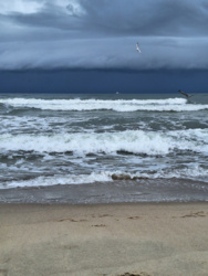 6d155e9f-1eff-4054-9e62-e169fb6739f0