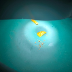 78a83ccb-e929-4af4-a895-b7b4522469a4