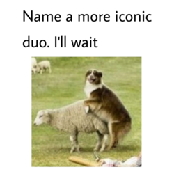 6cbcd358-d9da-4bfc-9a6a-cc7d61d6ba5c