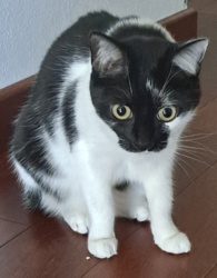 3386c615-b914-450b-a4f2-72dc4cf3b0a8