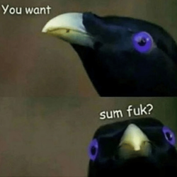 04fc8da7-ed96-4503-b6cd-15744704f3b4