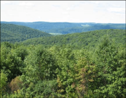 1990b3e9-f617-4202-8356-7020ee4c53be