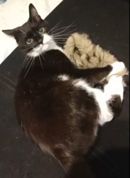 f6cda544-3432-4938-95b6-1d5d227cf41c