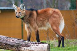 4b8c53e7-3006-42f5-960f-66fb0792b3ad