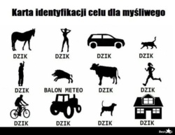 d5468e52-2d1a-4608-803f-b378338137d0