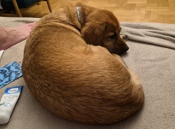 2ccf8a0a-fdea-49c1-b192-b00e6f81b07d