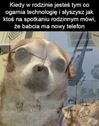 8286f18e-0213-4973-83cd-530021e17a91