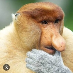 45bcd6ad-9cfd-4f20-8a6f-73824efd37ad