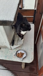 46334458-0321-4e88-89da-0f2f900bed8b