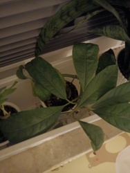 b2794722-6582-4d05-a7f3-2b9a67eb9eb2