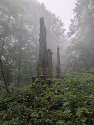 49af648e-47d0-480a-9fa2-fd58bcf0c556