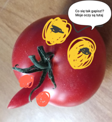 464048b0-0d4e-4646-9b6b-2b7e57427a4b