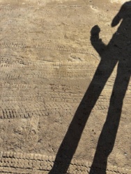 52224015-e750-4bcf-8940-6dc7300a4af3