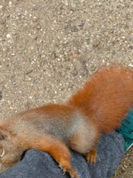 9e9c2e69-7430-4243-bd2d-77e4ed667117