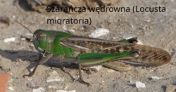 946559ab-3e88-4e81-b99b-e238aabd3f3a