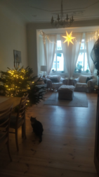 165a8f4c-ce9f-4504-90fd-82cb8b489248