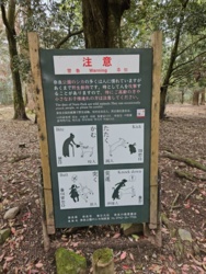 d768c43c-fcbe-43ef-a471-925eec16bcbe